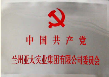 兰州BG视讯实业集团有限公司建设党委会专题