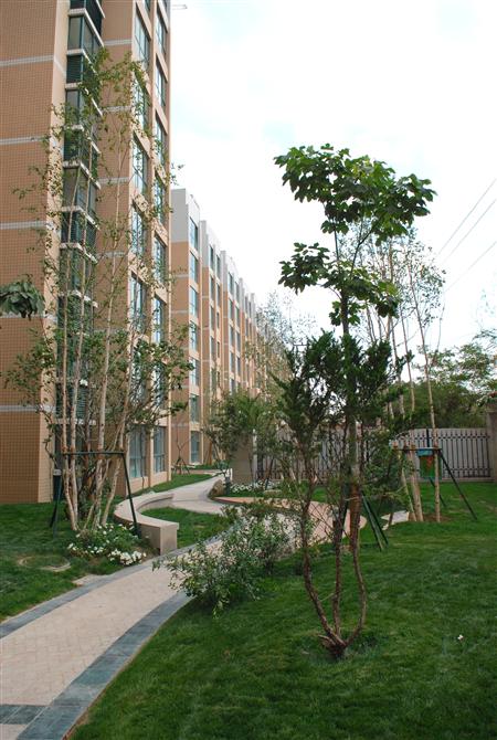 BG视讯嘉园二期局部景观雏形鉴赏（亲景实拍）
