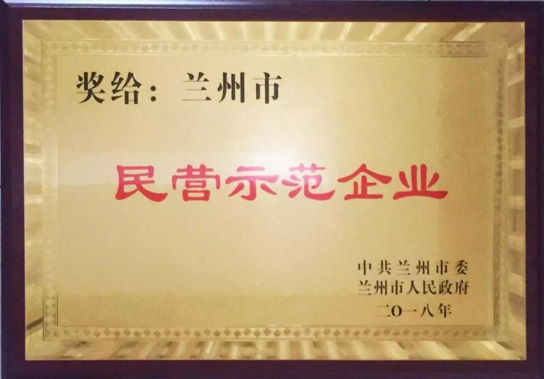 兰州BG视讯集团荣获 “兰州市民营树模企业”优异称呼